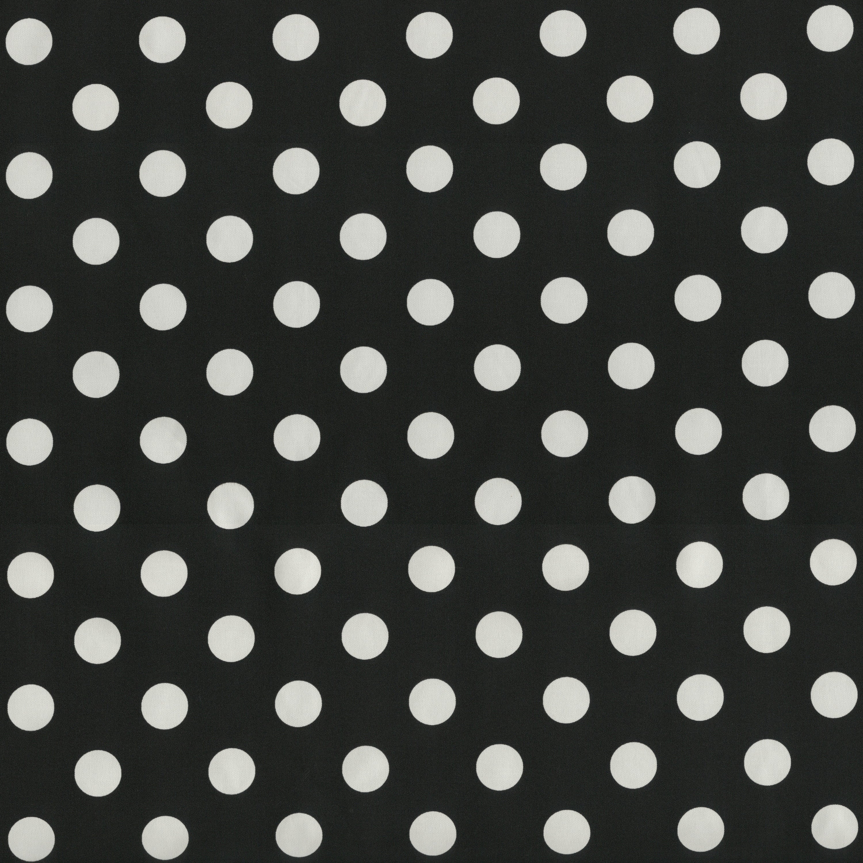 Polka Dot Black Fabric